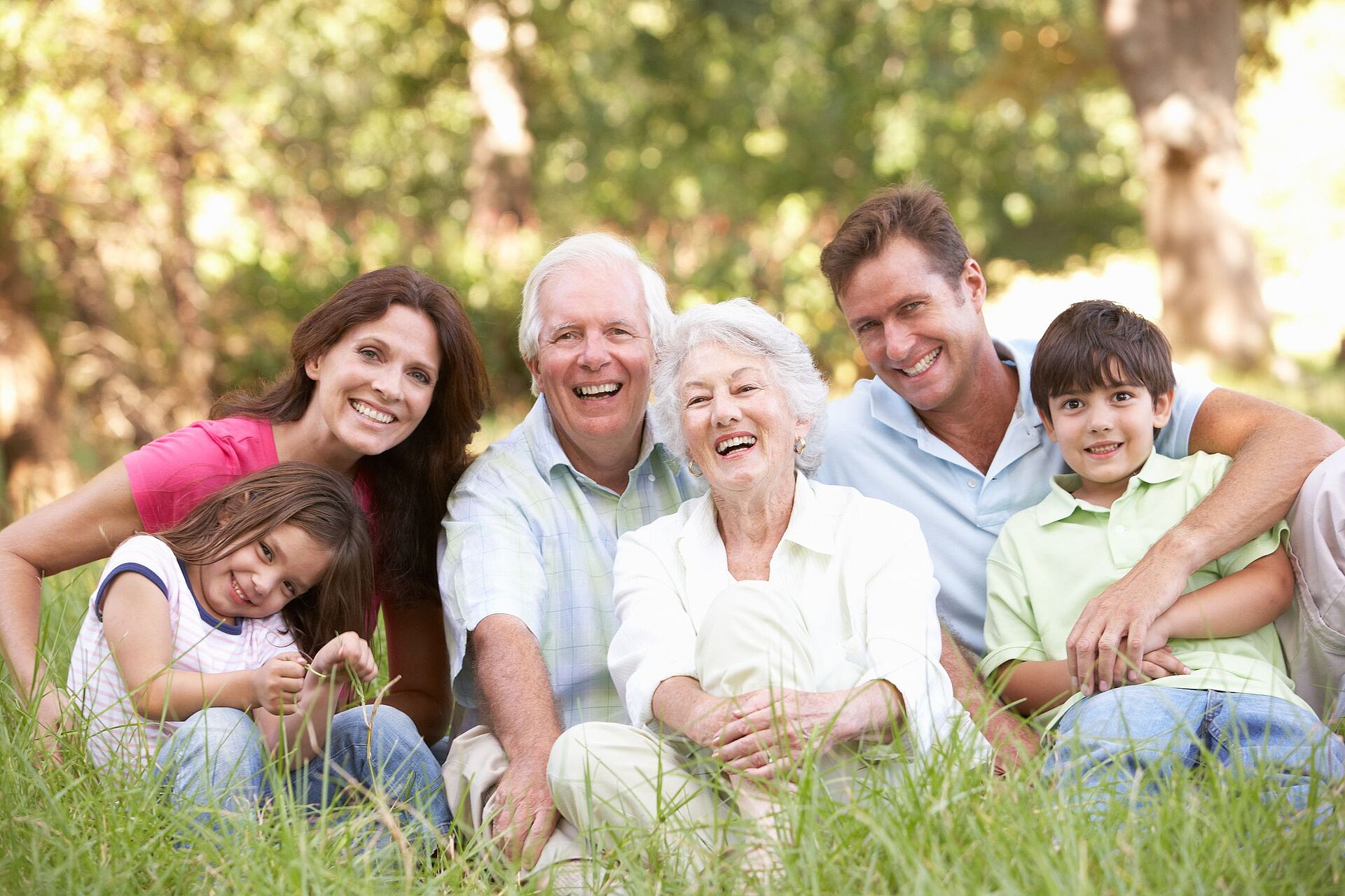 Großeltern, Eltern und Kinder sitzen in einer Wiese