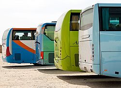 Vier Busse auf einem Parklplatz
