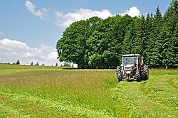 Traktor auf Feld am Waldrand