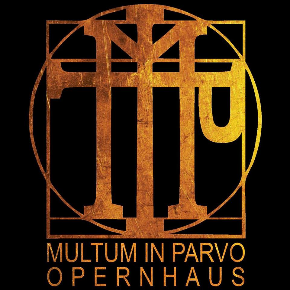 Logo Multum in Parvo